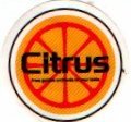 citrus from golden orchards to your table