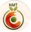 nmt