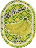 la patrona #4011 mexico