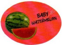 baby watermelon