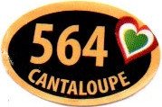 564 cantaloupe
