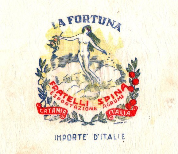 la fortuna fratella spina esportazione agrumi catania italia importe d italie