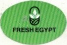 fresh egypt
