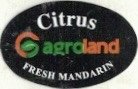 Agroland citrus fresh mandarin