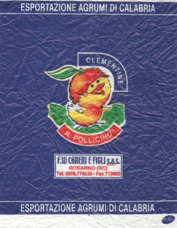IL pollicino esportazione agrumi Di Calabria Clementine f illi careri e figli sas rosarno rc