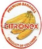 Citronex   premium bananas product of Columbia