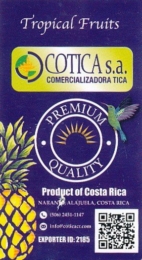 Cotica s a comercializadora tica premium quality product of costa rica tropical fruits 7449363100003
