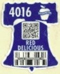 Washington 4016 red delicious