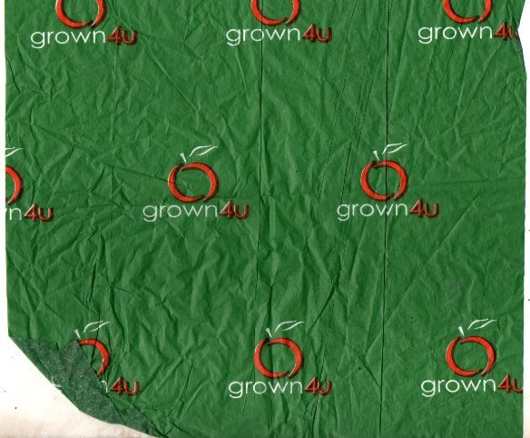 grown 4u