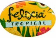 felixia tropical
