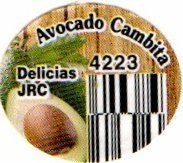 jrc avocado cambita 4223 delicias