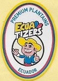 ecua tizers ecuador premium  plantains
