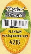 tropical fresh  183070000636 plantain www.tropicalexpor.com 4215 product of ecuador