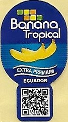 banana tropical extra premium ecuador