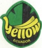 yellow ecuador