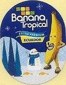 banana tropical extra premium ecuador