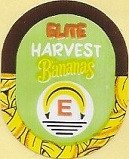 e elite harvest bananas