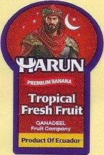 harun premium banana tropical fresh fruit qanadeel fruit company product of ecuador