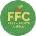 FFC fresh fruits china