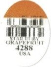 star ruby grapefruit 4288 usa