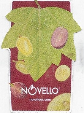 novello novelloec.com n°26 grappes for passion rooted in sicily