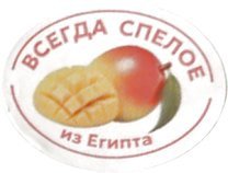 russe (ВСЕГДА СПЕЛОЕ из Египта)