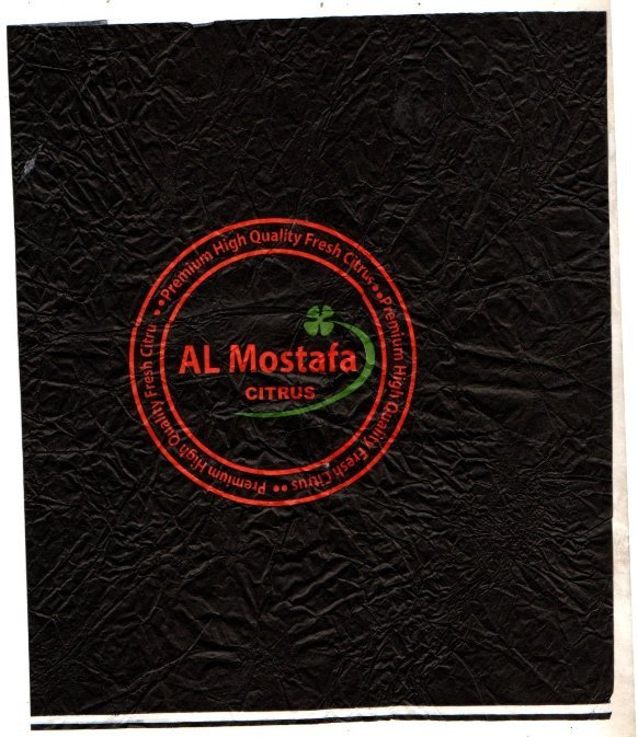 al mostafa citrus premium high quality fresh citrus
