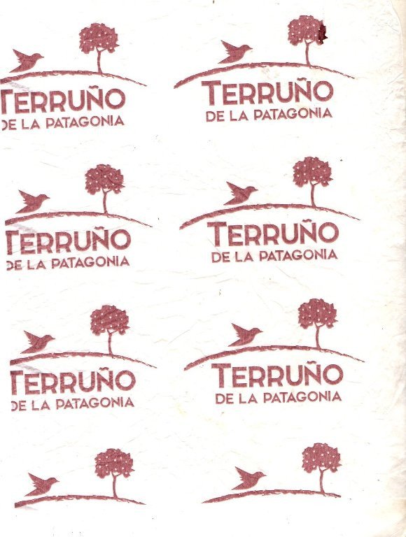 terruno de la patagonia