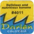darien delicious and nutritious banana #4011 colombia