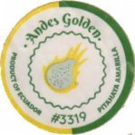 andes golden product of ecuador #3319 pitahaya amarella