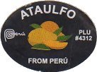 ataulfo peru plu #4312 from peru