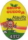 grupo guzco jr ataulfo guadalajara 4312