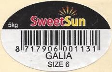 Sweet sun 5kg 8717906001131 galia size 6