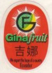 gf ginafruit we export the hope of a country ecuador