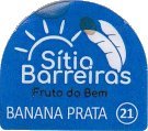 sitio barreiras fruto do bem banana prata 21