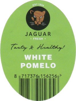 jaguar est 1934 fresh tasty & healthy white pomelo 8717376156256