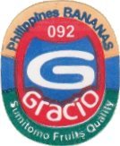 gracio sumitomo fruits quality phillippines bananas 092