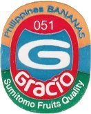 gracio sumitomo fruits quality phillippines bananas 051