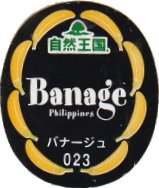 banage philippines 023